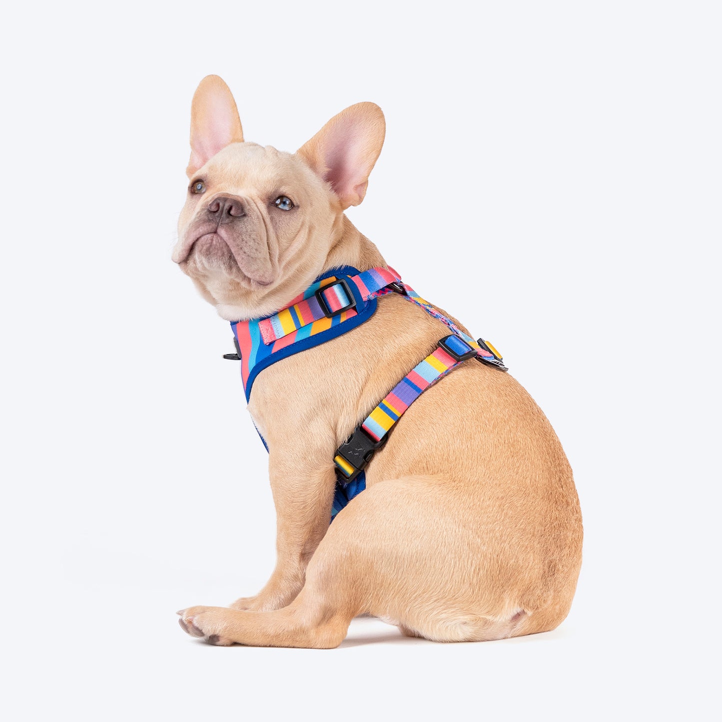 HUFT Spectrum Stripes Adjustable Harness For Dog - Multicolor - Heads Up For Tails