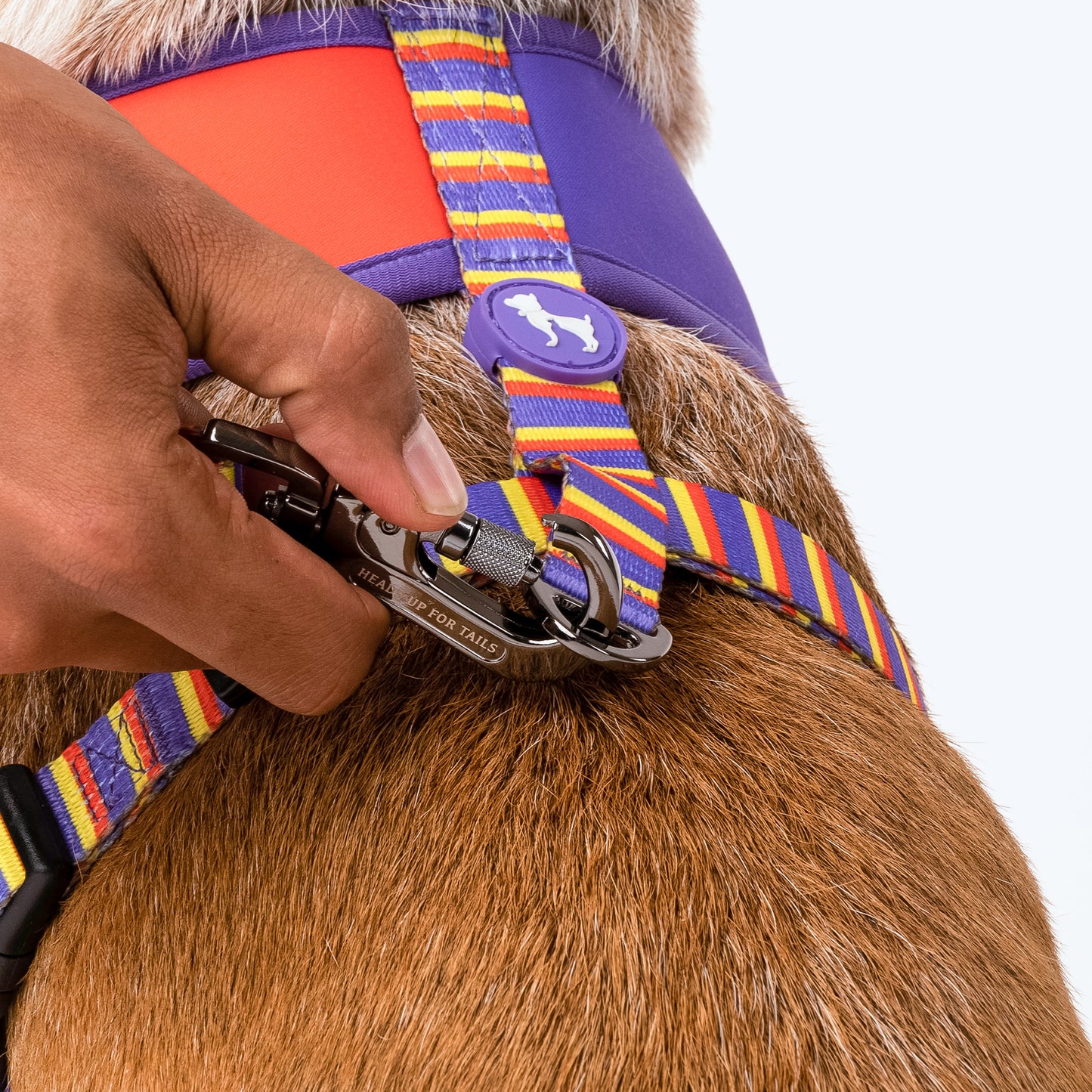 HUFT Sunny Stride Dog Reversible Harness_05