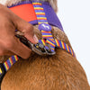 HUFT Sunny Stride Dog Reversible Harness_05