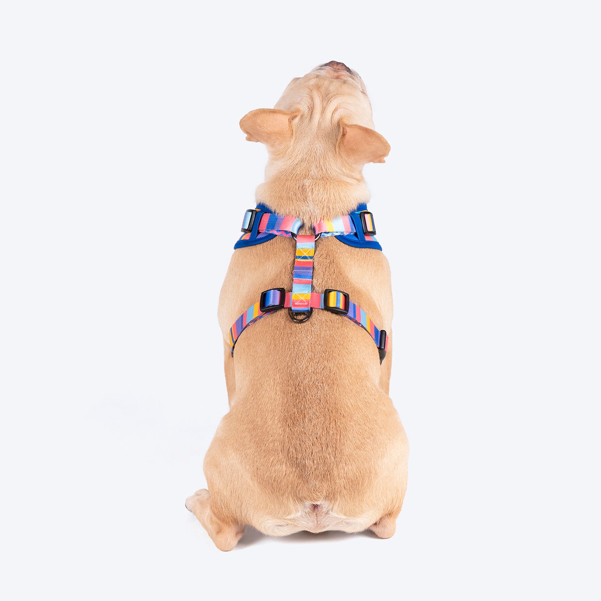 HUFT Spectrum Stripes Adjustable Harness For Dog - Multicolor - Heads Up For Tails
