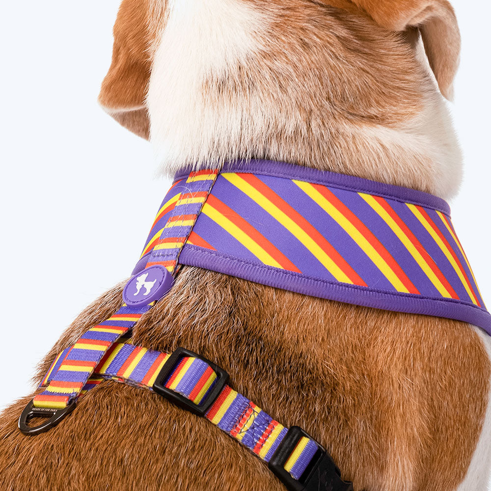HUFT Sunny Stride Dog Reversible Harness_04