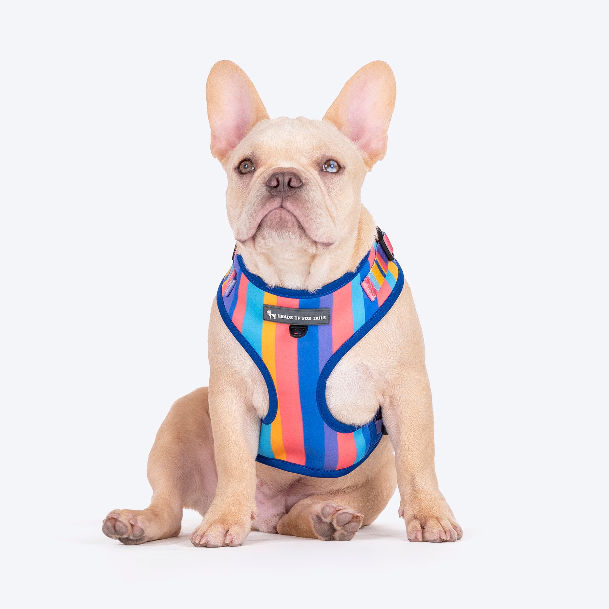 HUFT Spectrum Stripes Adjustable Harness For Dog - Multicolor - Heads Up For Tails