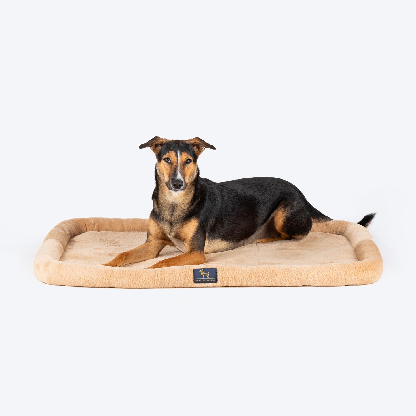 HUFT Fluffy Dreams Plush Mat For Dog & Cat - Beige - Heads Up For Tails