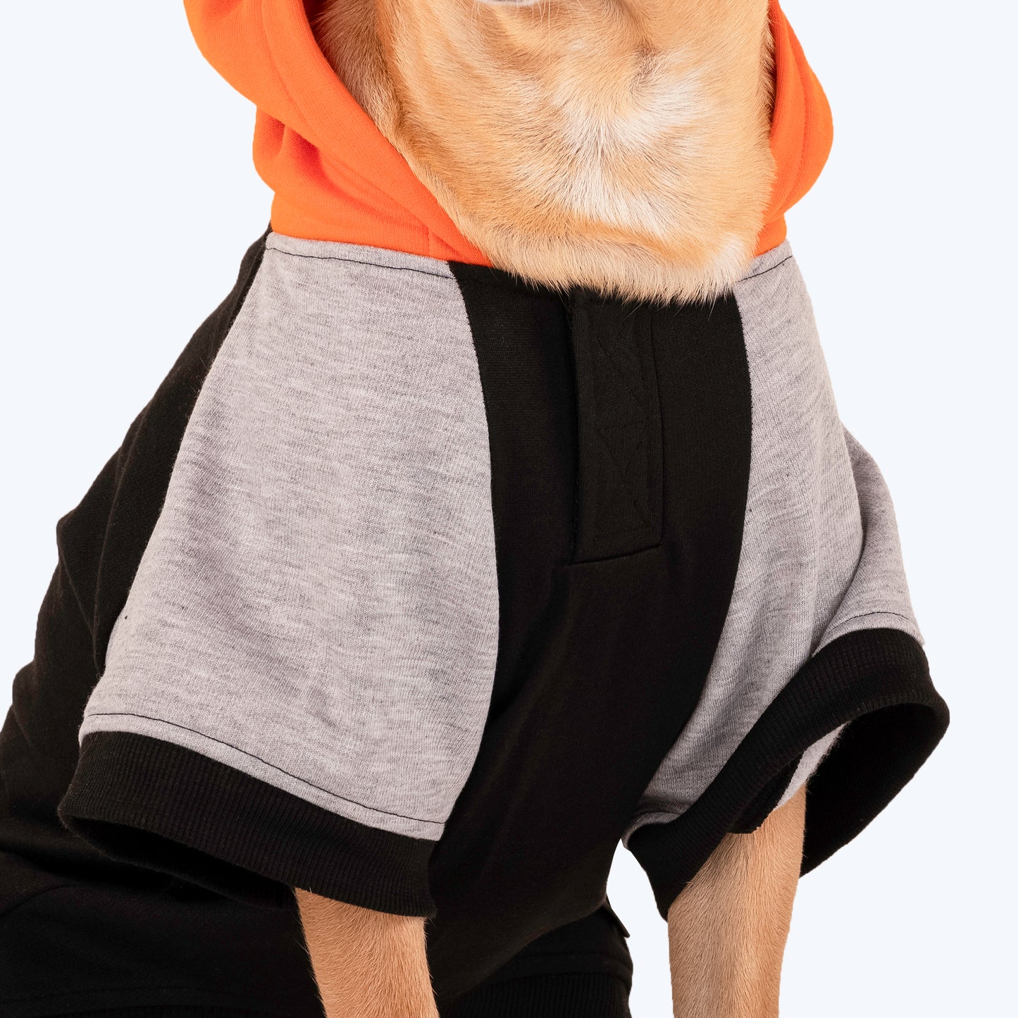 HUFT Colour Block Hoodie Sweatshirt For Pets- Black - Heads Up For Tails