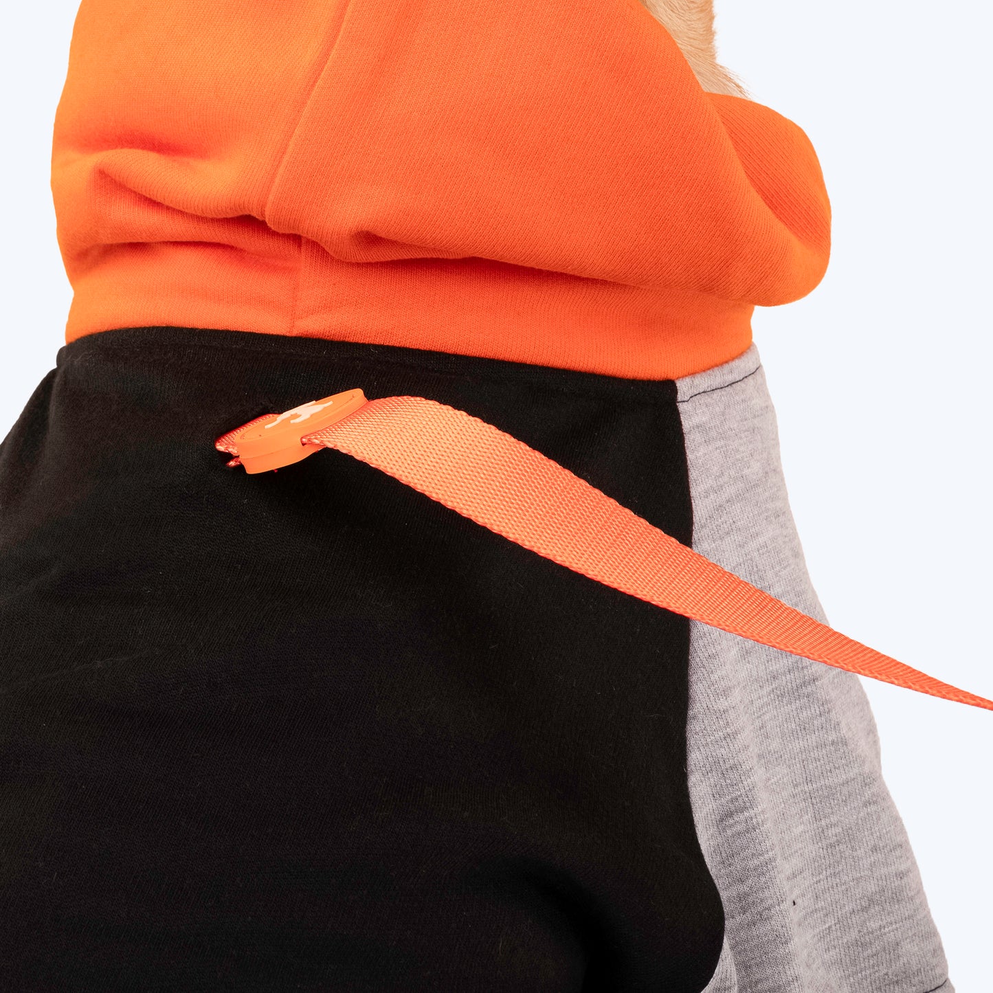 HUFT Colour Block Hoodie Sweatshirt For Pets- Black - Heads Up For Tails