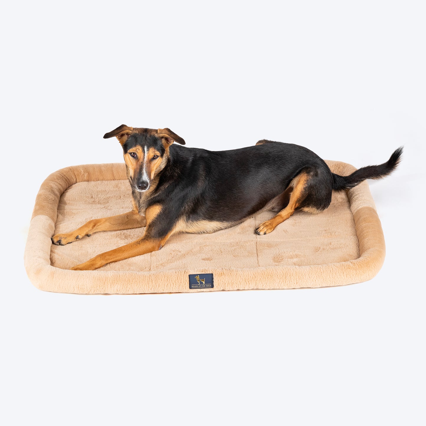 HUFT Fluffy Dreams Plush Mat For Dog & Cat - Beige - Heads Up For Tails