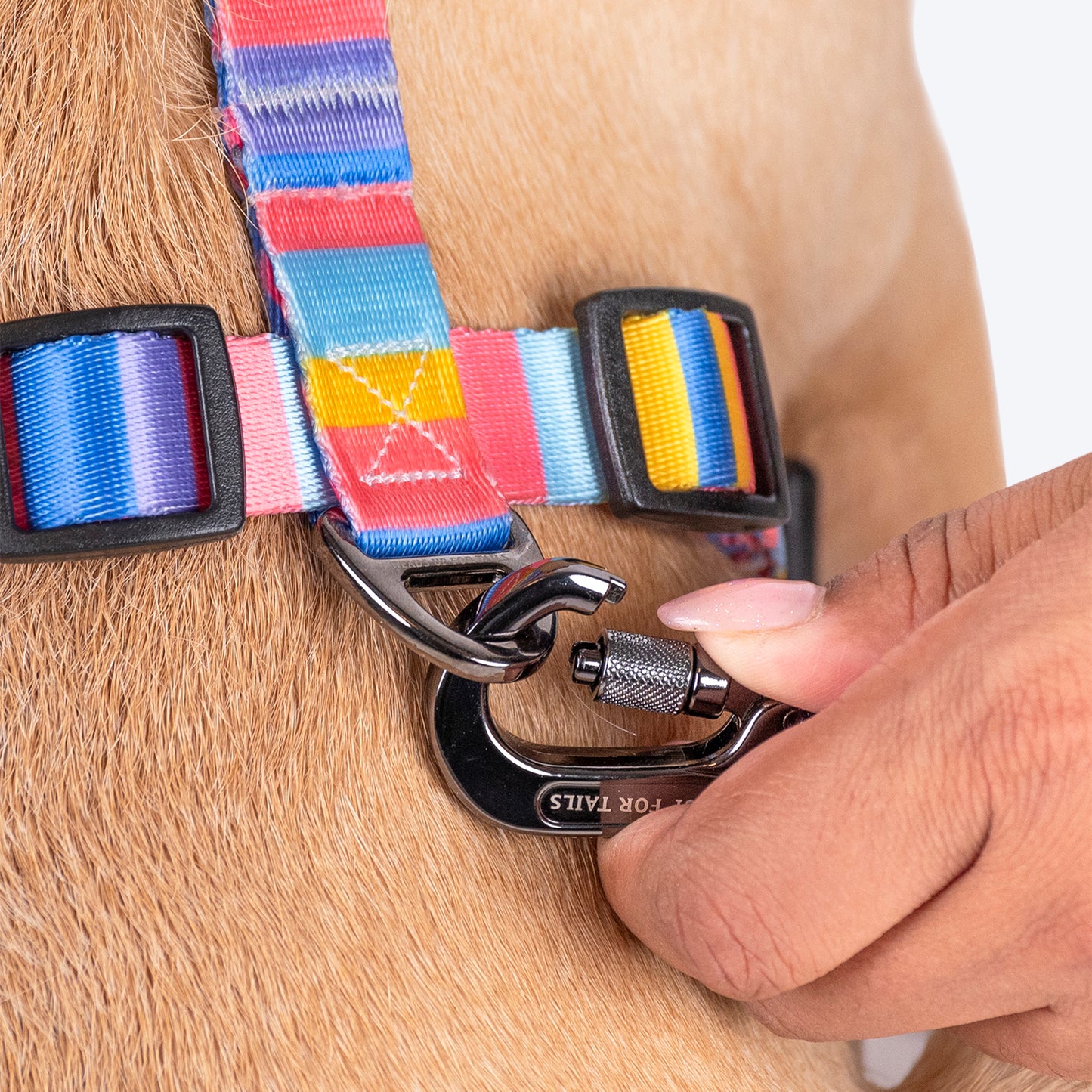 HUFT Spectrum Stripes Adjustable Harness For Dog - Multicolor - Heads Up For Tails