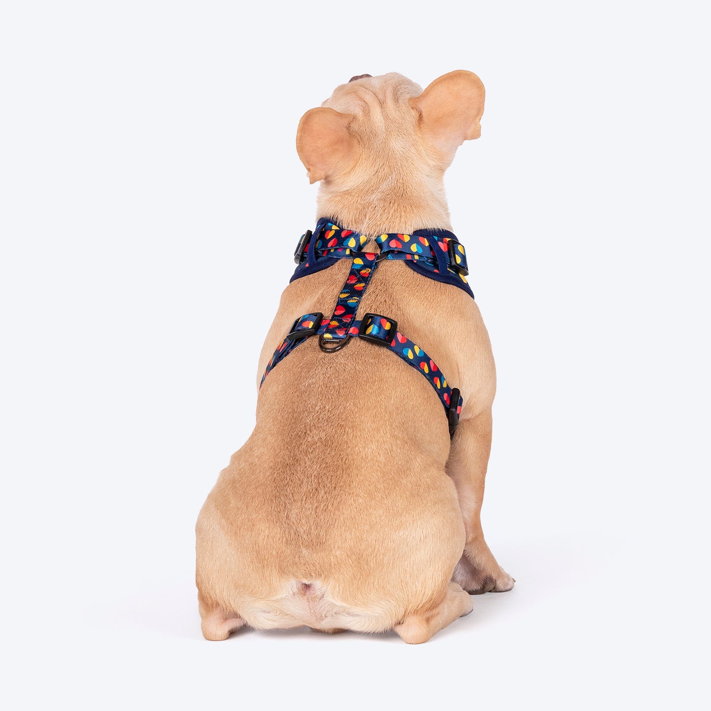 HUFT Love Struck Adjustable Harness For Dog - Navy - Heads Up For Tails