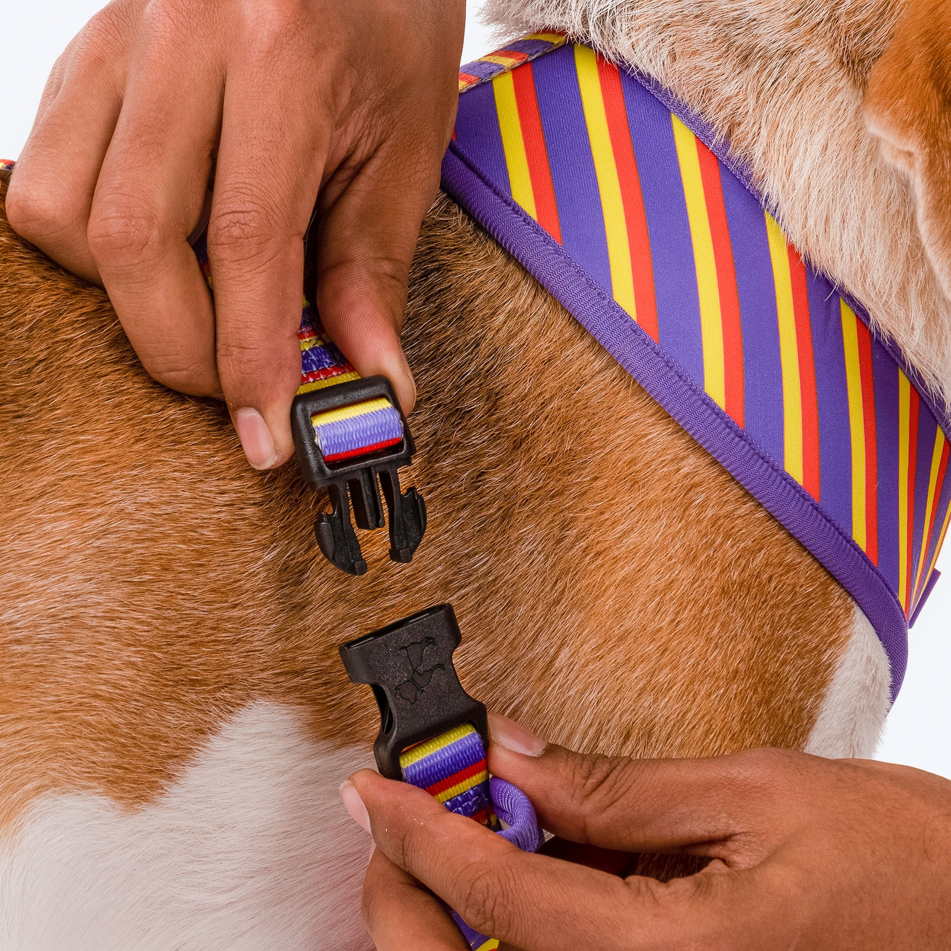 HUFT Sunny Stride Dog Reversible Harness_06