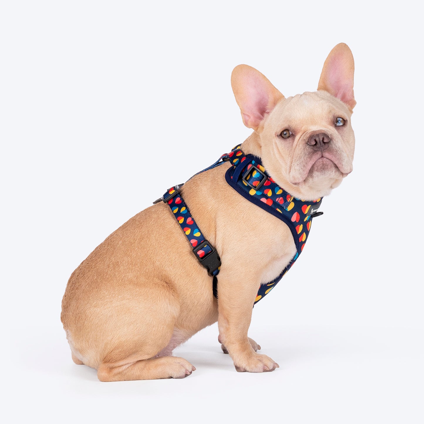 HUFT Love Struck Adjustable Harness For Dog - Navy - Heads Up For Tails