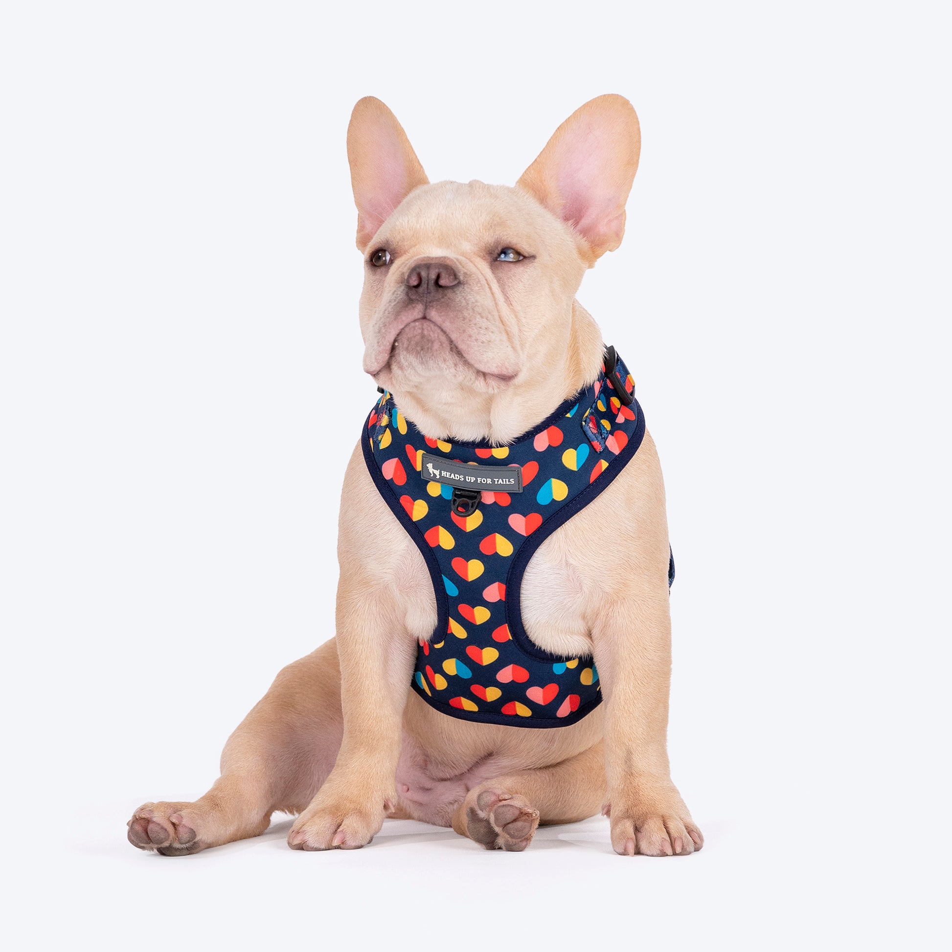 HUFT Love Struck Adjustable Harness For Dog - Navy - Heads Up For Tails