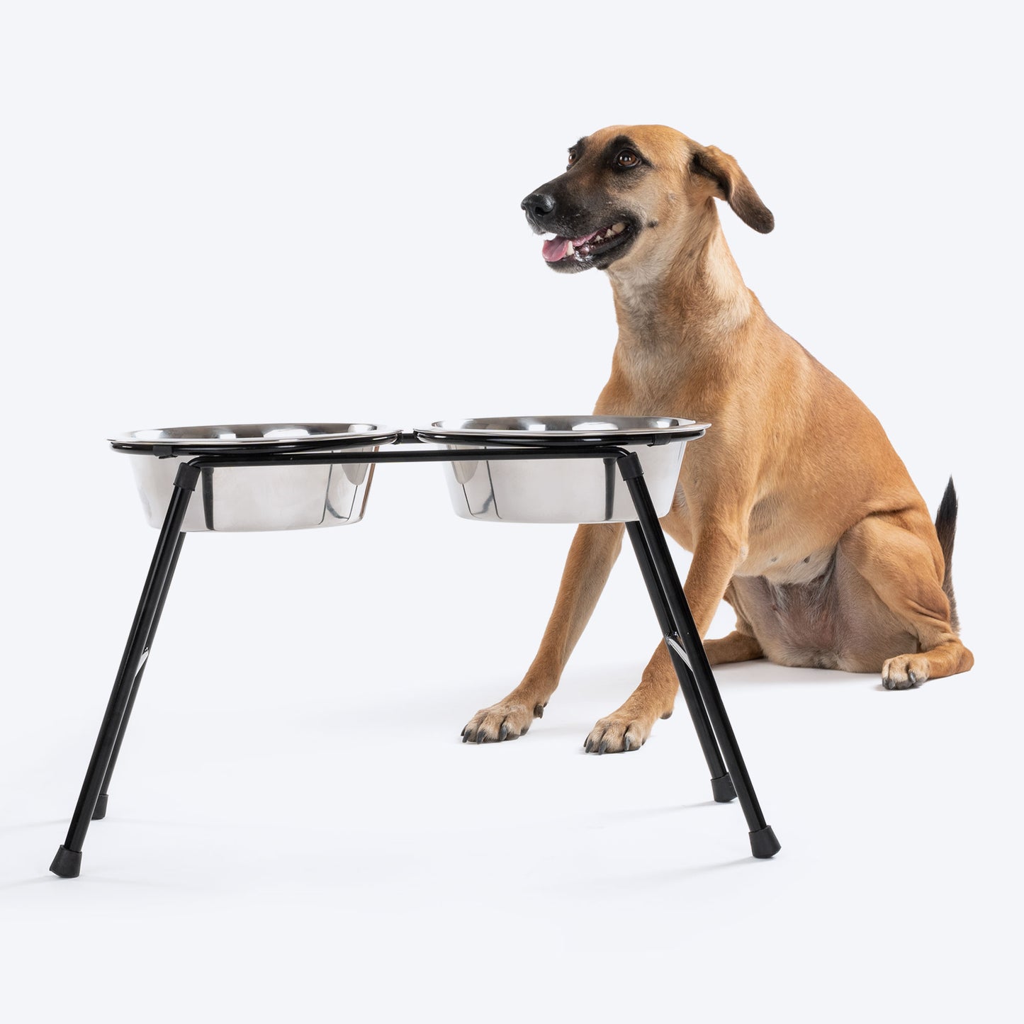HUFT High Feeder Double Diner Stand With Steel Dog Bowl Inserts - Black - Heads Up For Tails