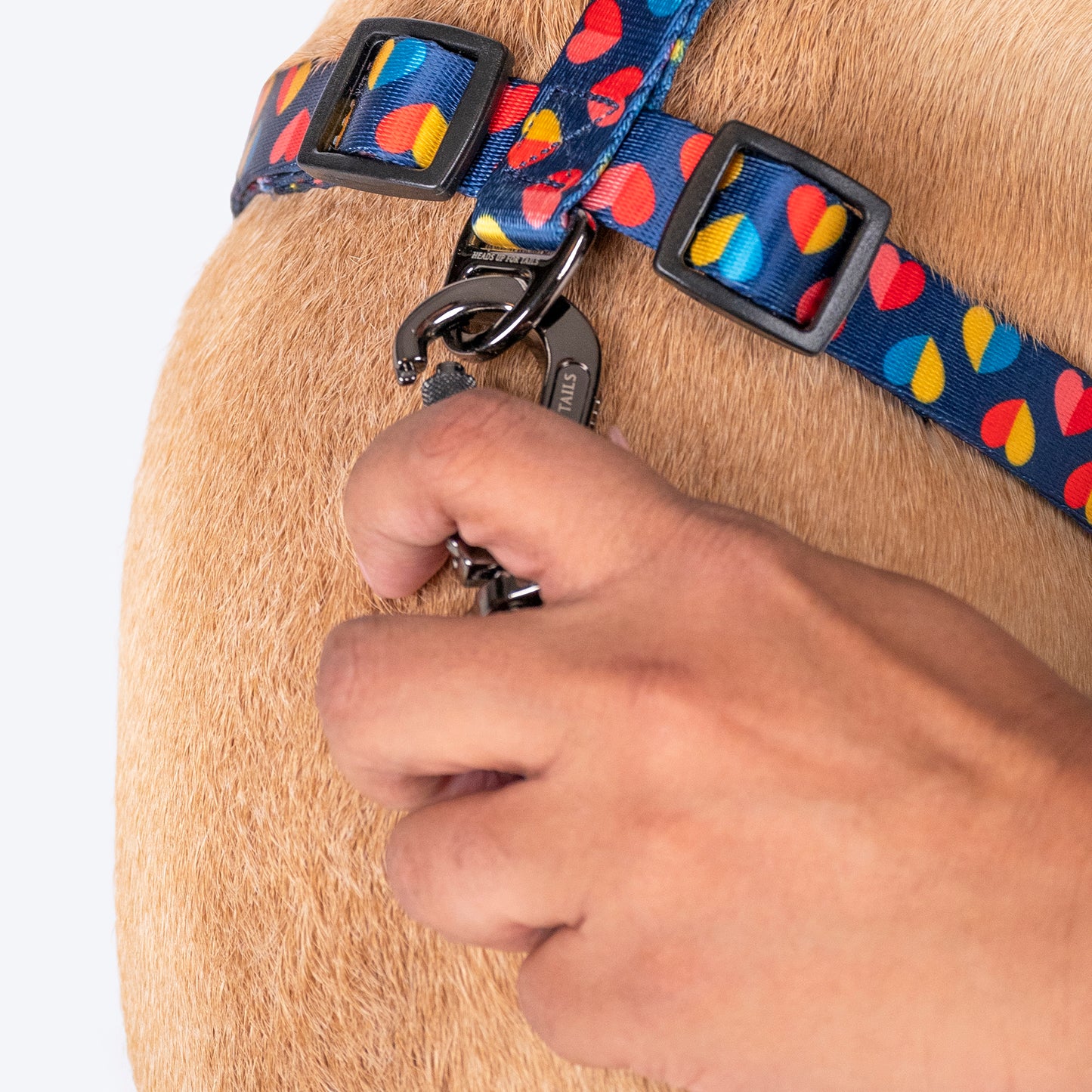 HUFT Love Struck Adjustable Harness For Dog - Navy - Heads Up For Tails