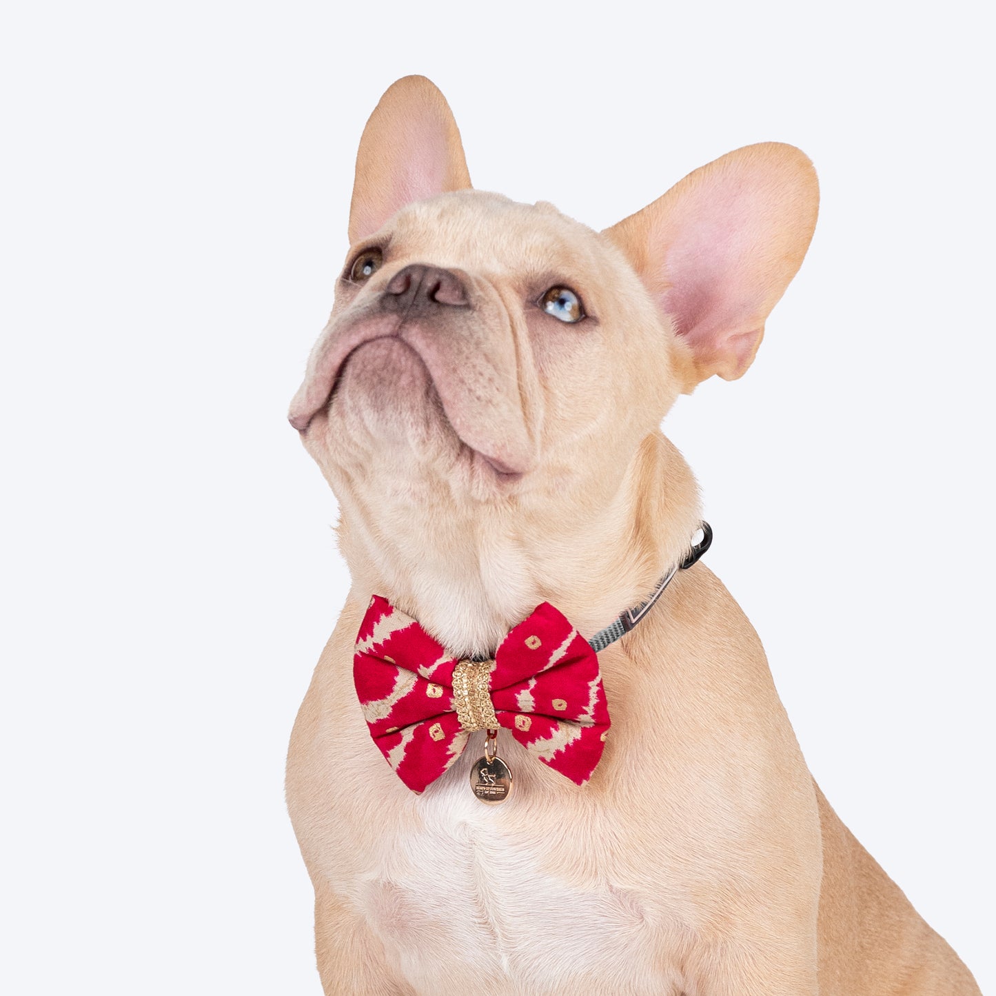 HUFT Leheriya Luxe Bowtie For Small Breed Dog - Pink - S - Heads Up For Tails