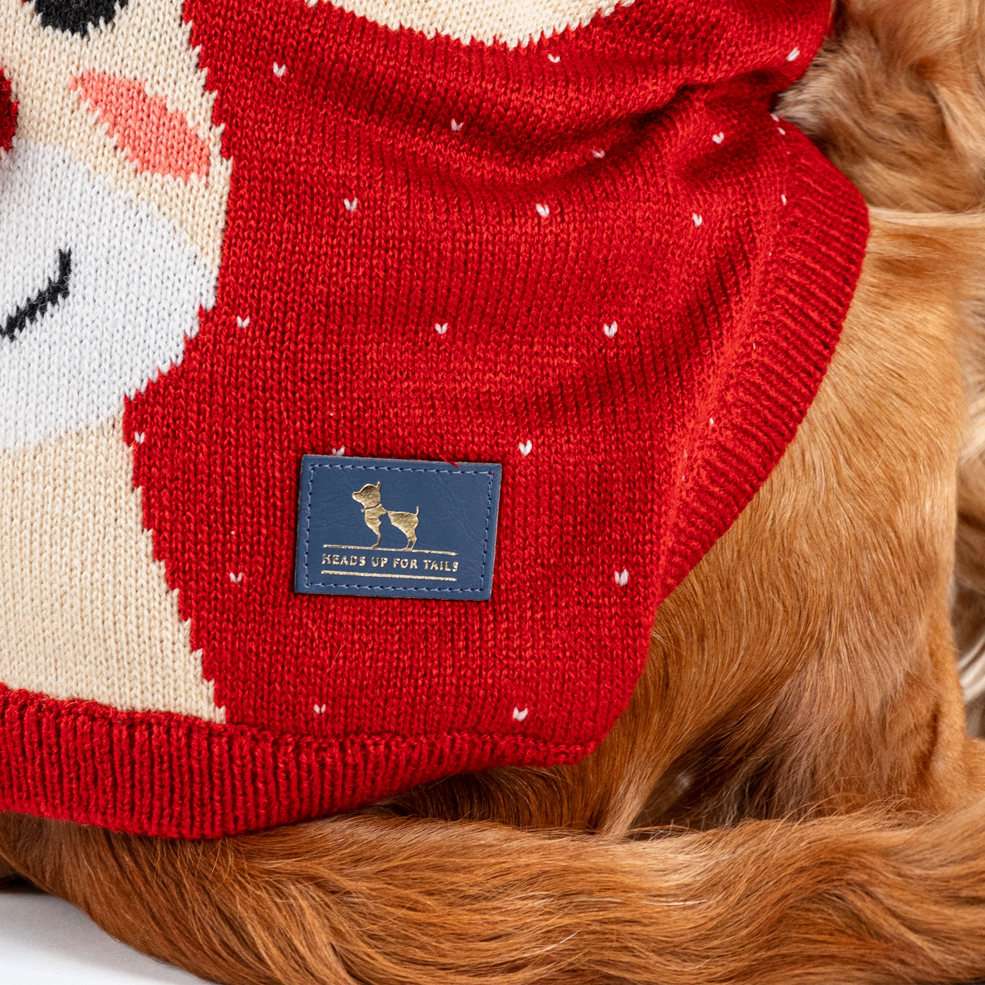 HUFT Merry Bright Sweater For Dog - Red - Heads Up For Tails