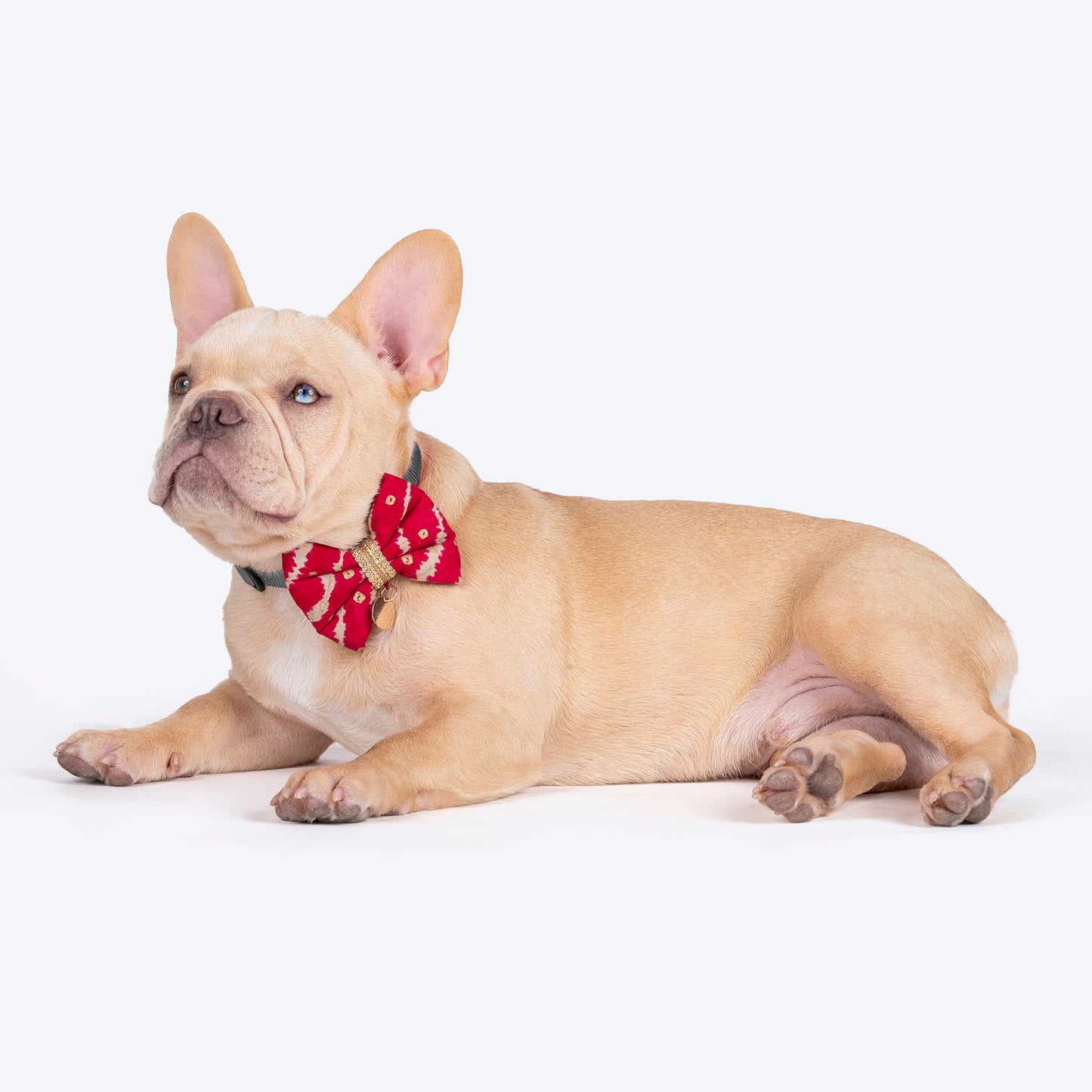 HUFT Leheriya Luxe Bowtie For Small Breed Dog - Pink - S - Heads Up For Tails