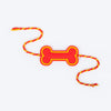 HUFT Forever Love Dog Rakhi - Orange - Heads Up For Tails