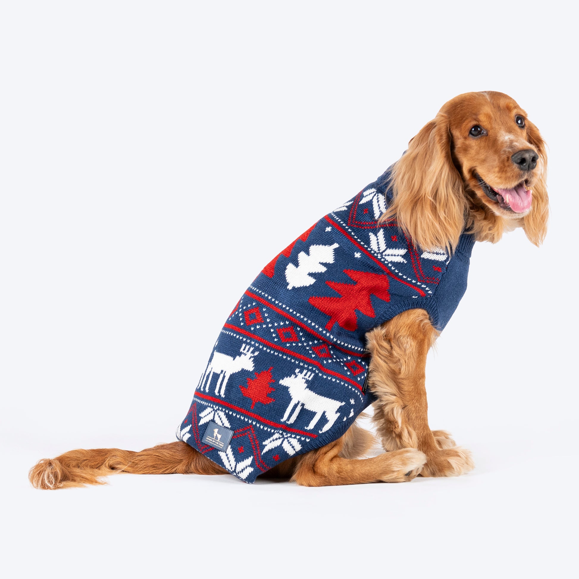 HUFT Snow Dashers Sweater For Dog - Navy Blue - Heads Up For Tails
