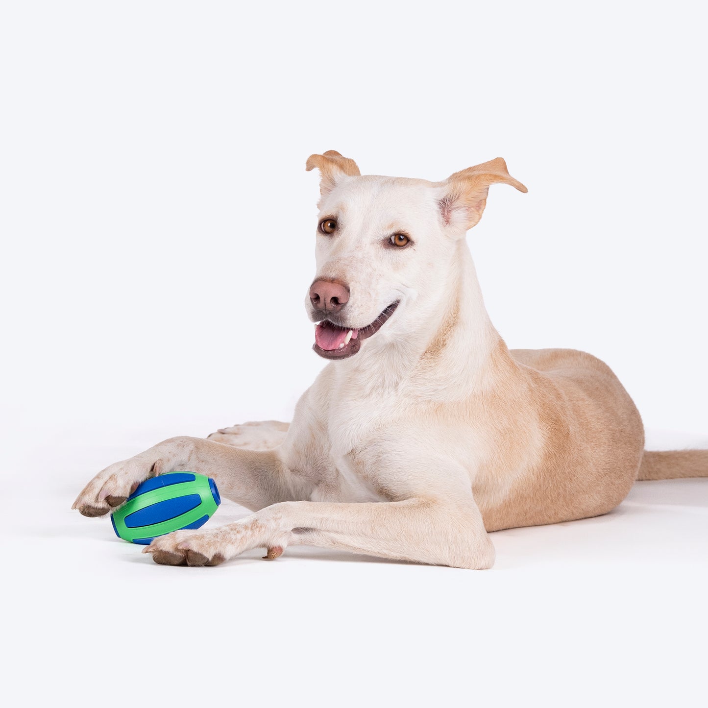 HUFT Rugby Chew Toy For Dog - Blue & Green - Heads Up For Tails