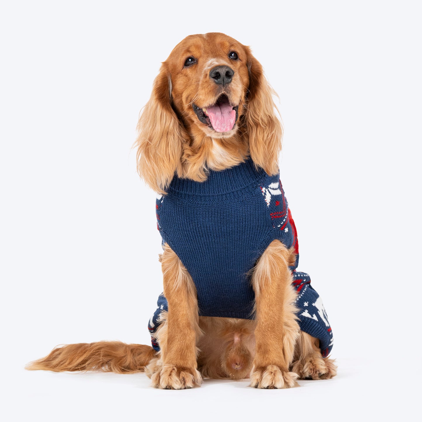 HUFT Snow Dashers Sweater For Dog - Navy Blue - Heads Up For Tails