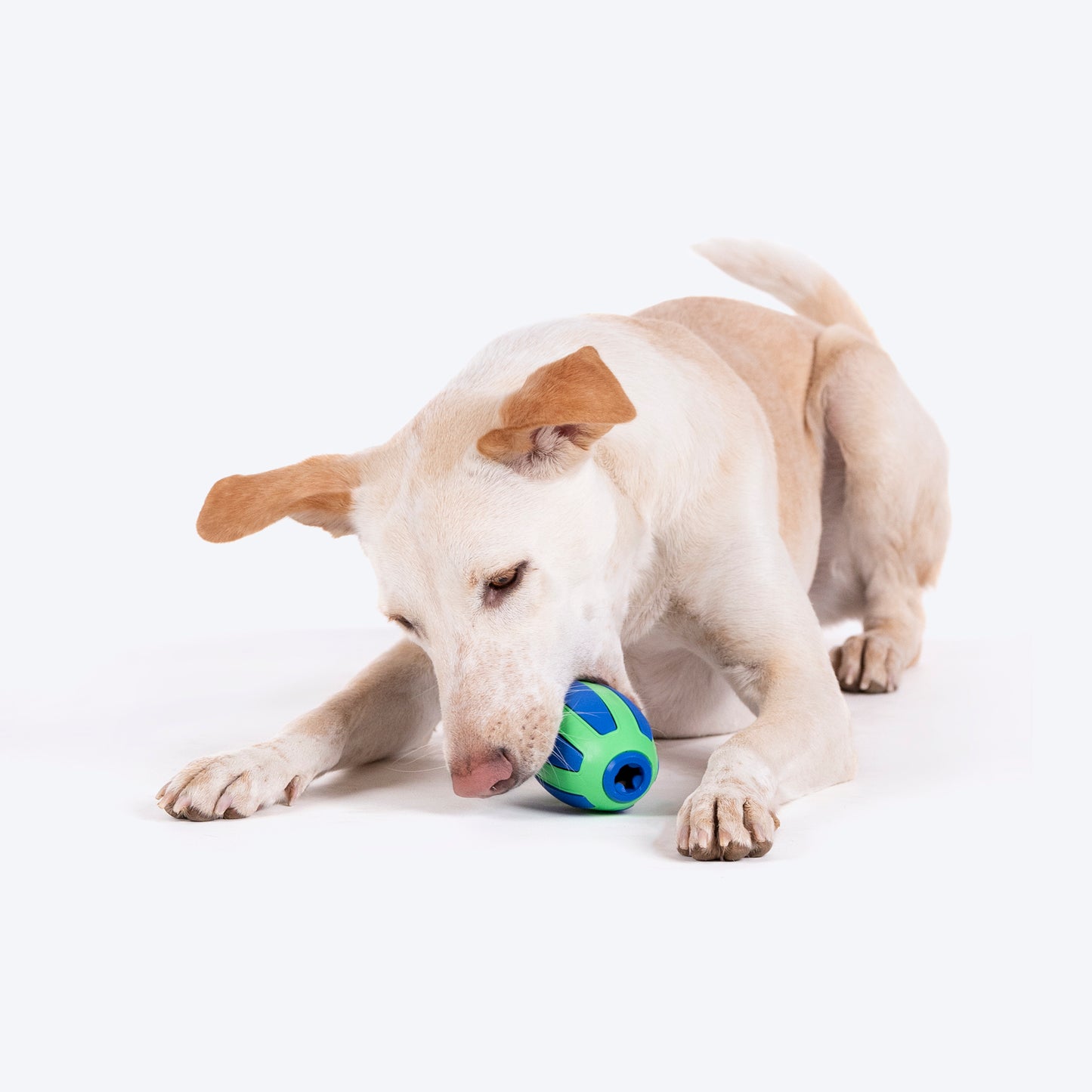 HUFT Rugby Chew Toy For Dog - Blue & Green - Heads Up For Tails
