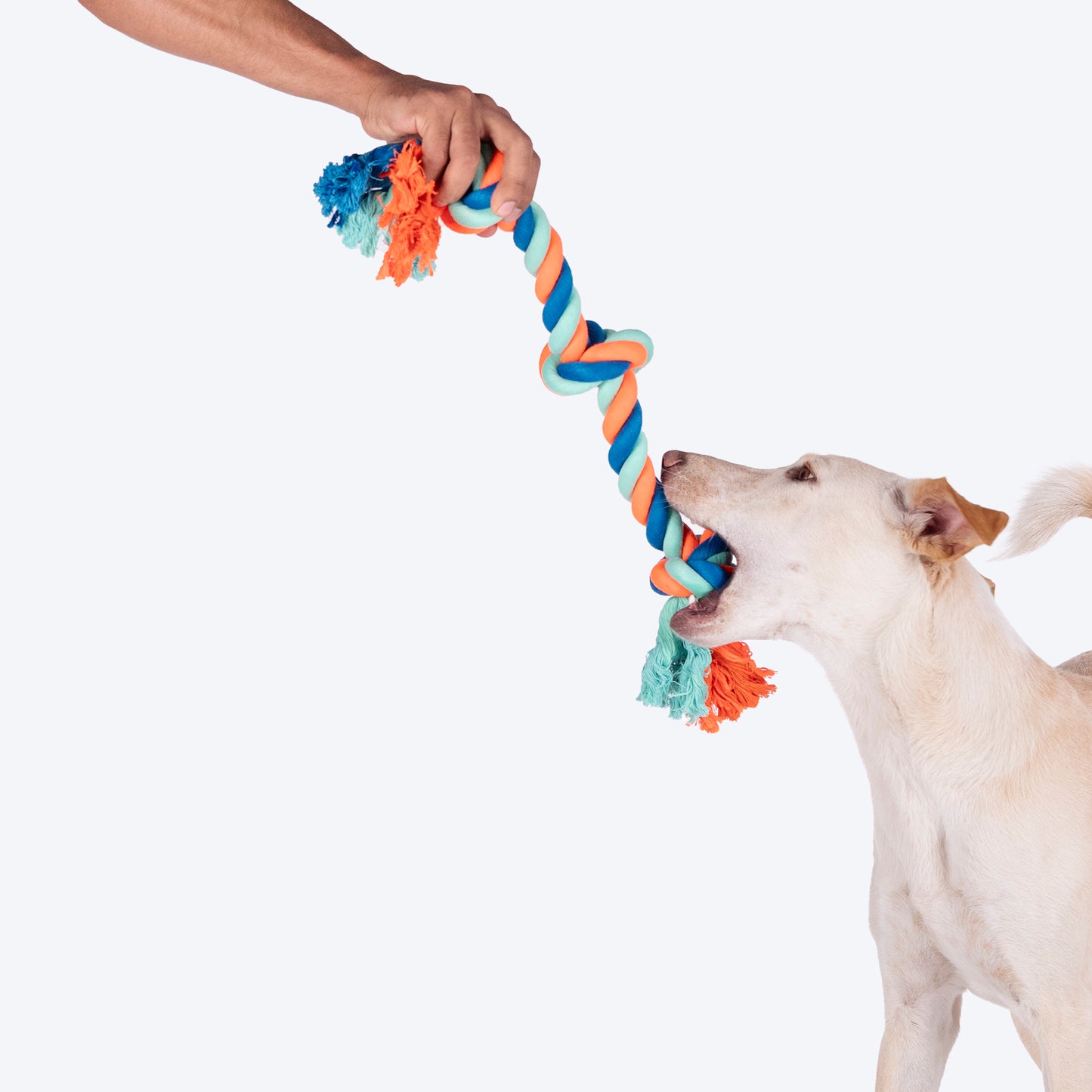 HUFT Tuggables 3 Knots Rope Toy For Dog - Blue & Orange - Heads Up For Tails
