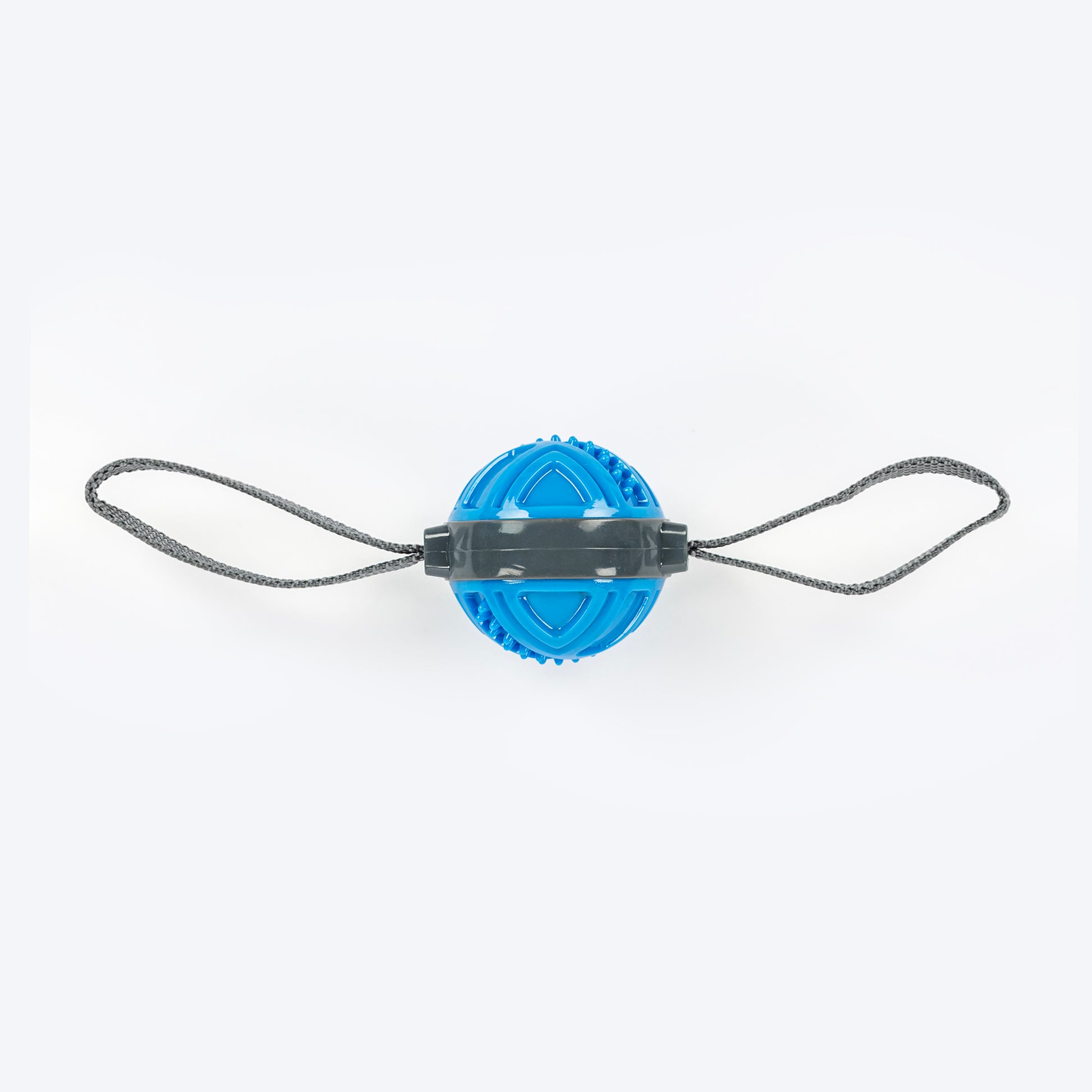 Dash Dog Tug 'n Toss Squeaky Chew Toy For Dog - Blue - Heads Up For Tails