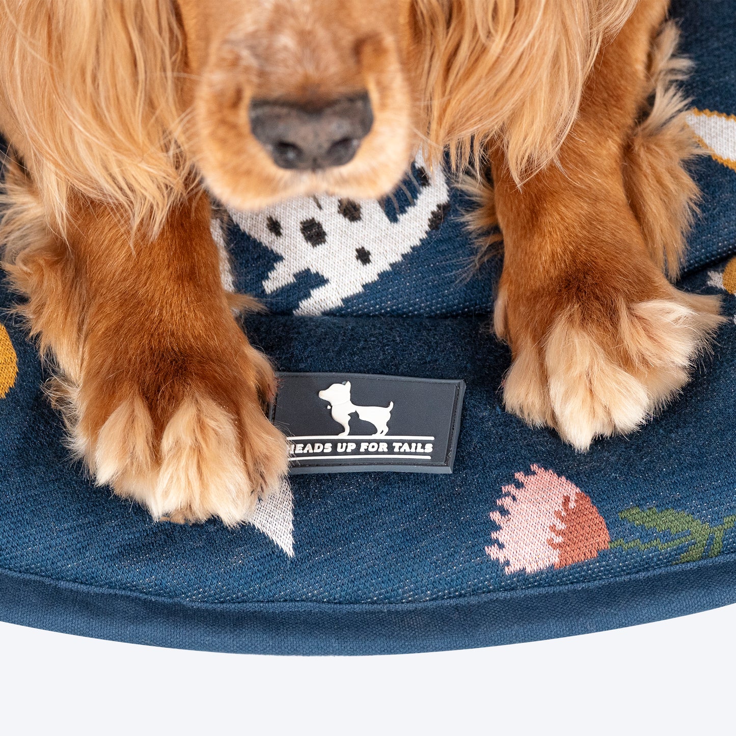 HUFT Dogs In Bloom Circular Mat For Dog & Cat - Navy - Heads Up For Tails