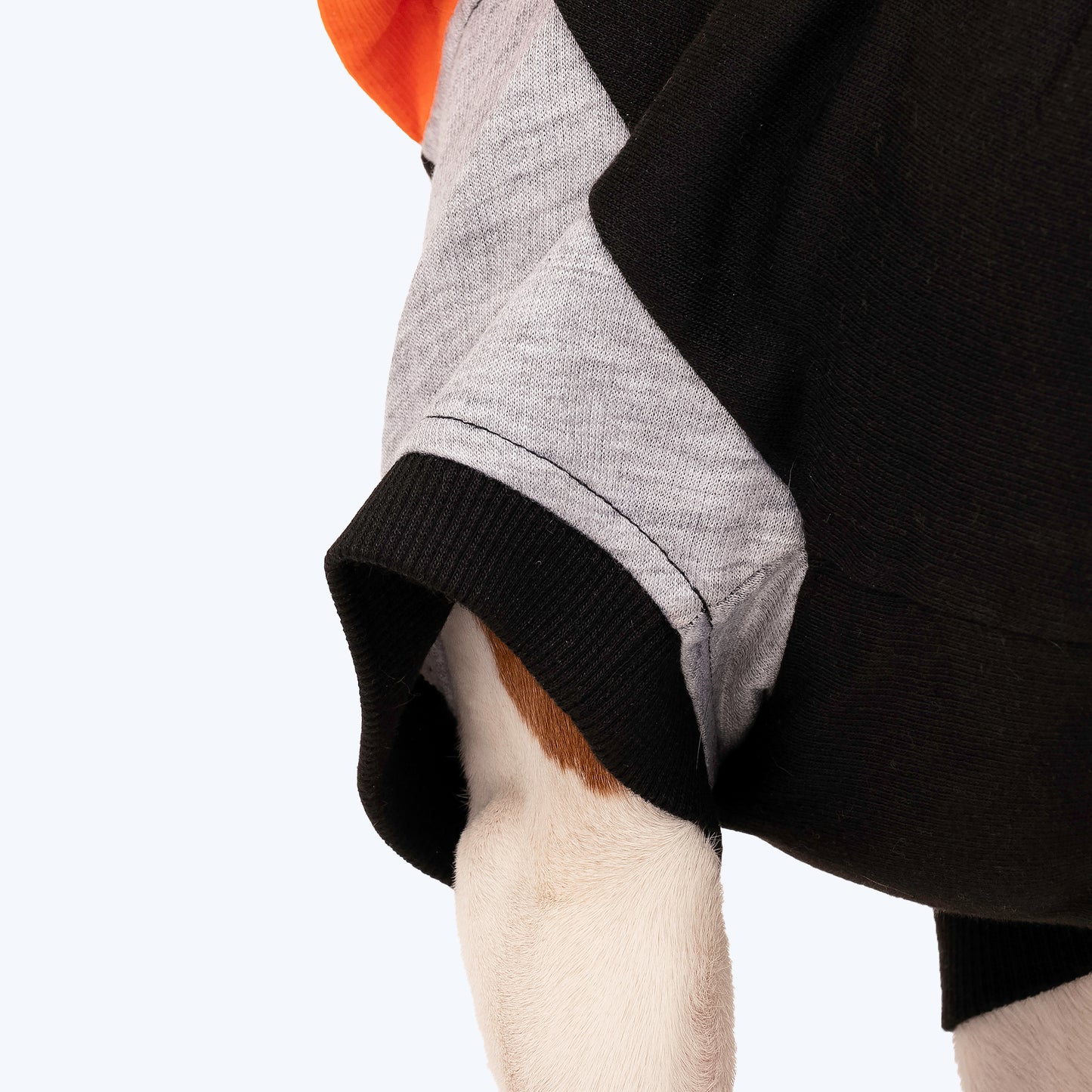 HUFT Colour Block Hoodie Sweatshirt For Pets- Black - Heads Up For Tails