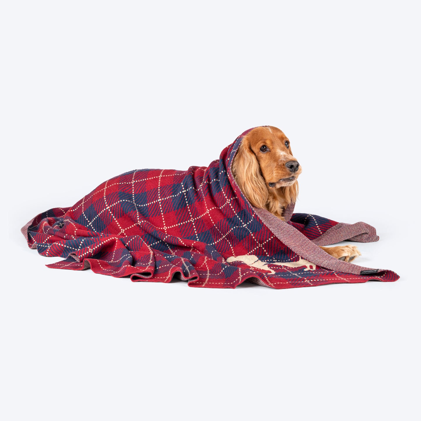 HUFT Warm Hug Blanket For Dog & Cat - Maroon & Blue - Heads Up For Tails