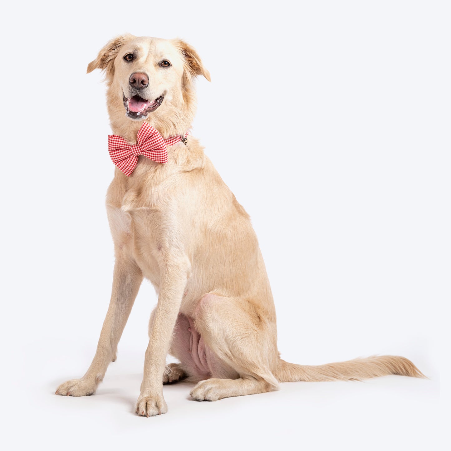 HUFT Personalised Gingham Fabric Collar With Bow Tie For Dogs - Red - Heads Up For Tails