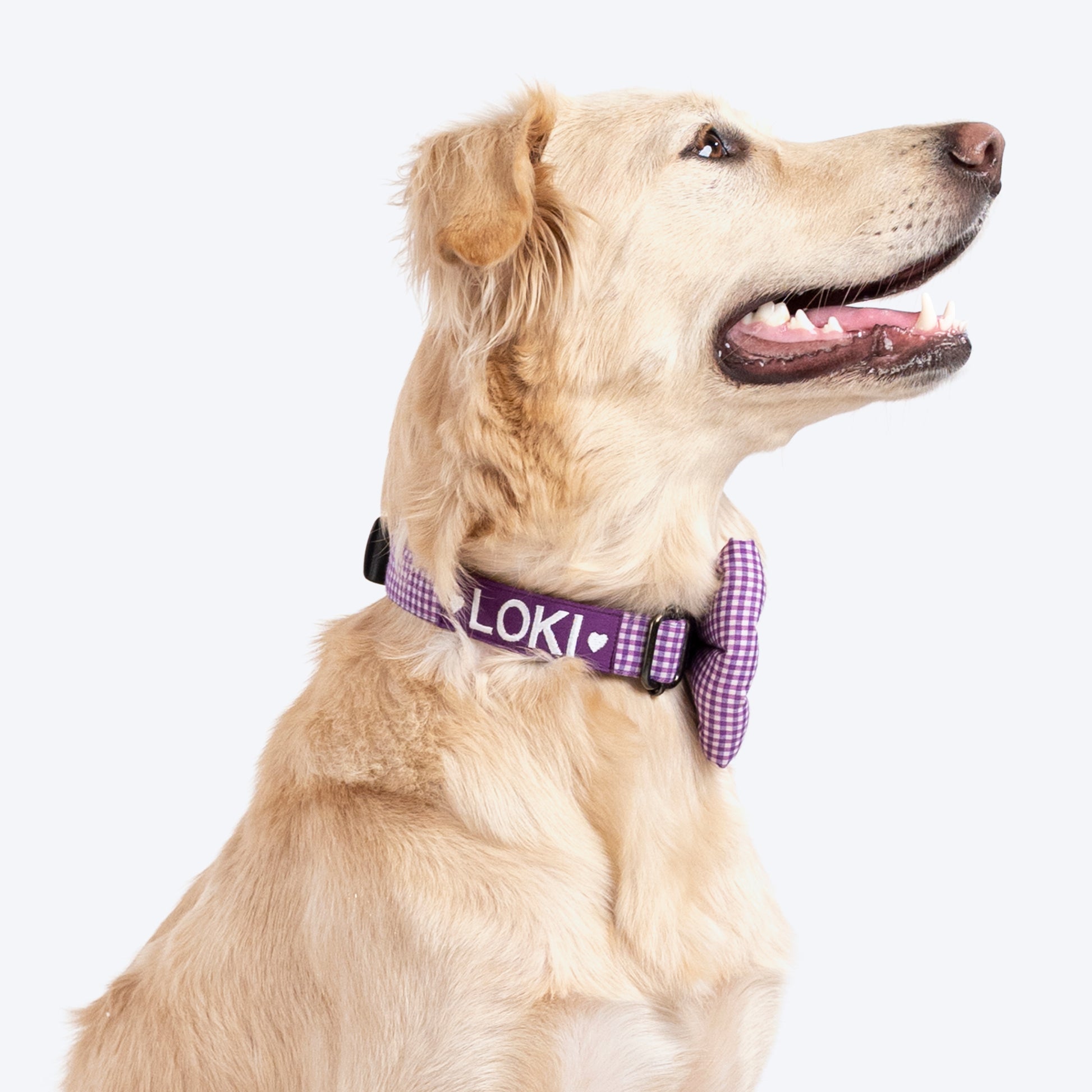 HUFT Personalised Gingham Fabric Collar With Bow Tie For Dogs - Purple - Heads Up For Tails