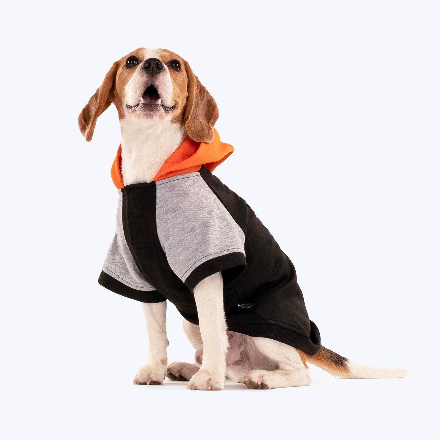 HUFT Colour Block Hoodie Sweatshirt For Pets- Black - Heads Up For Tails