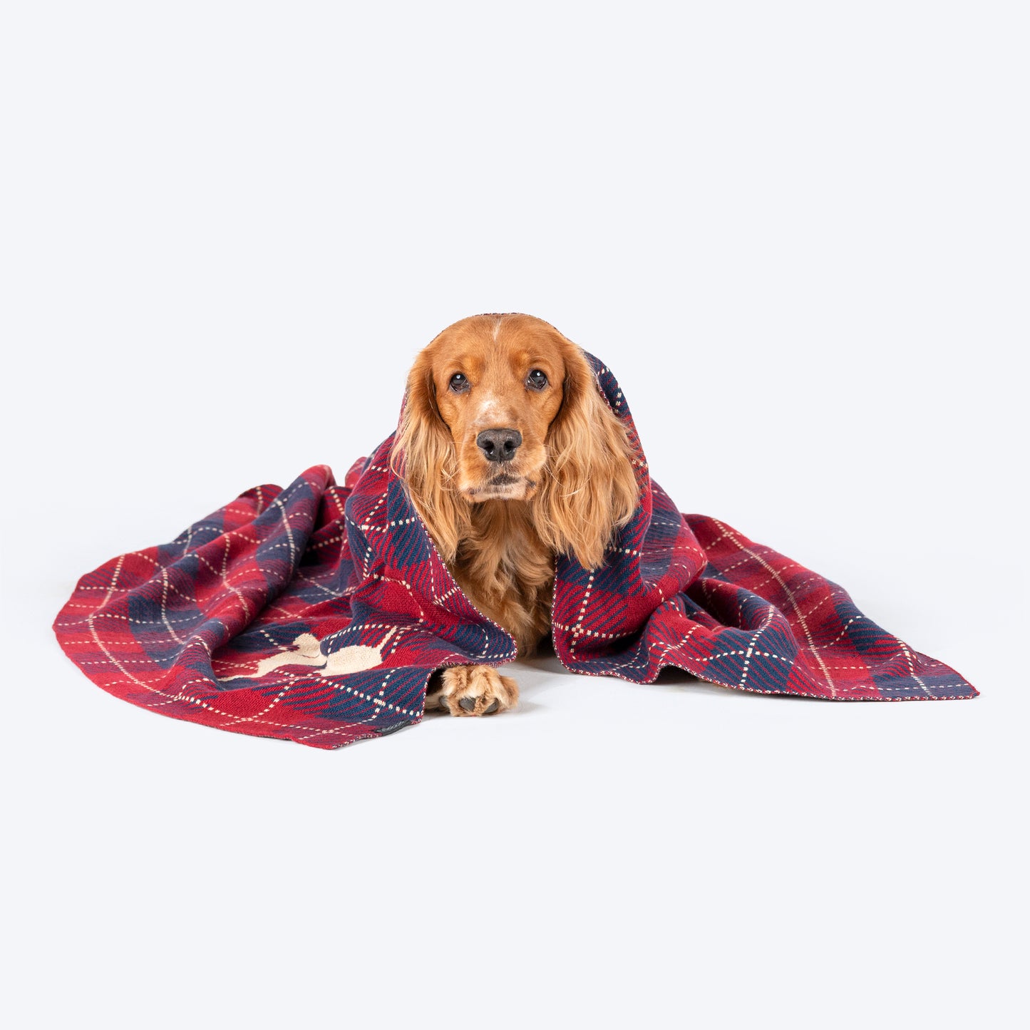 HUFT Warm Hug Blanket For Dog & Cat - Maroon & Blue - Heads Up For Tails