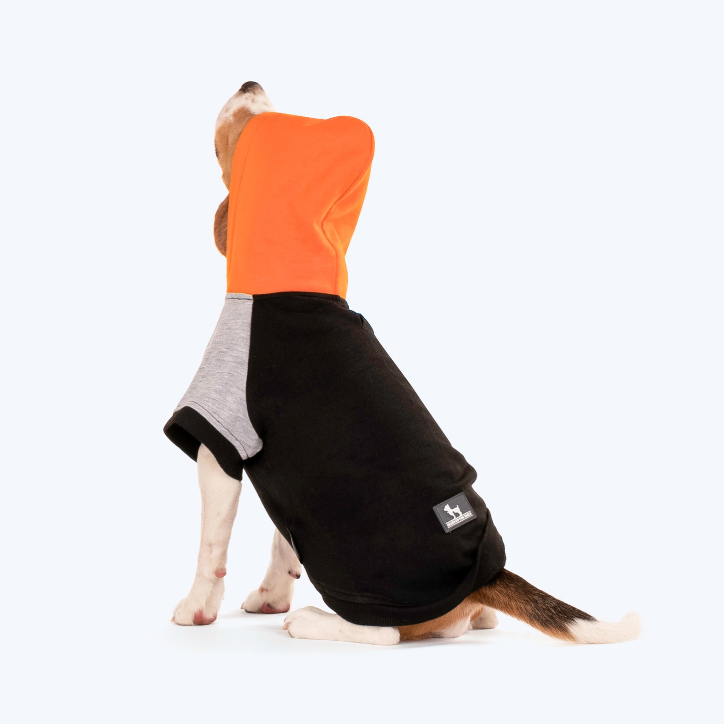 HUFT Colour Block Hoodie Sweatshirt For Pets- Black - Heads Up For Tails