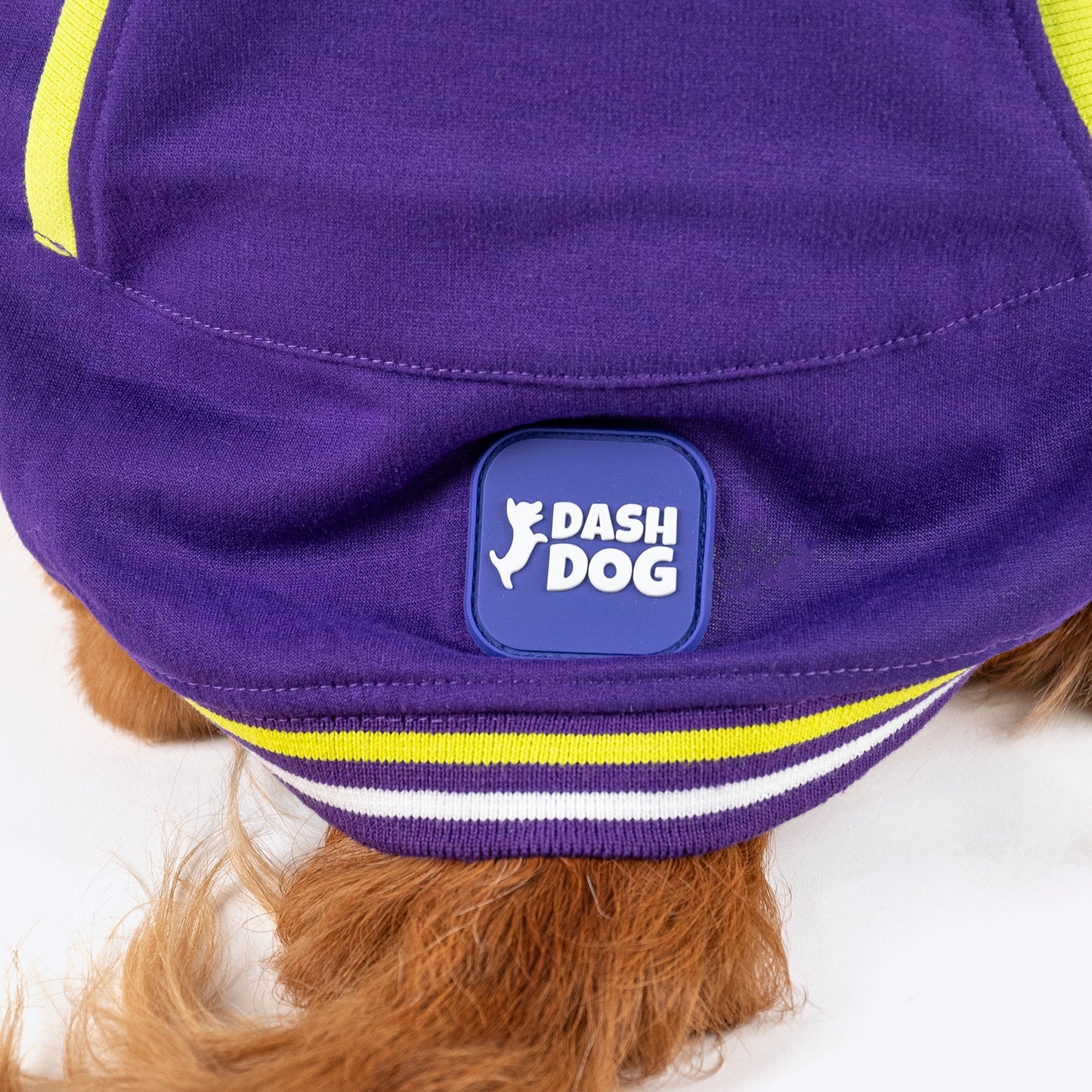 Dash Dog Trailblazer Pocket Sweatshirt For Dog - Purple - Heads Up For Tails