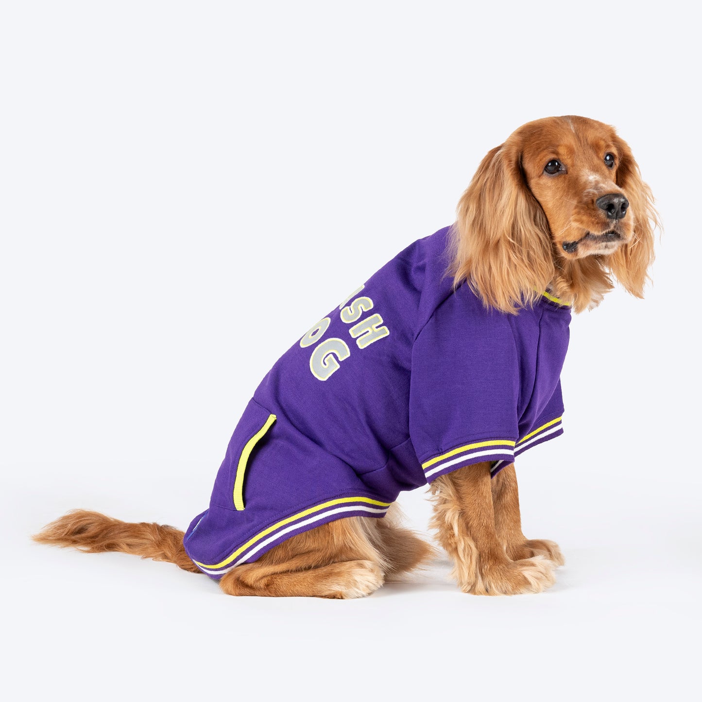 Dash Dog Trailblazer Pocket Sweatshirt For Dog - Purple - Heads Up For Tails