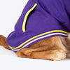 Dash Dog Trailblazer Pocket Sweatshirt For Dog - Purple - Heads Up For Tails