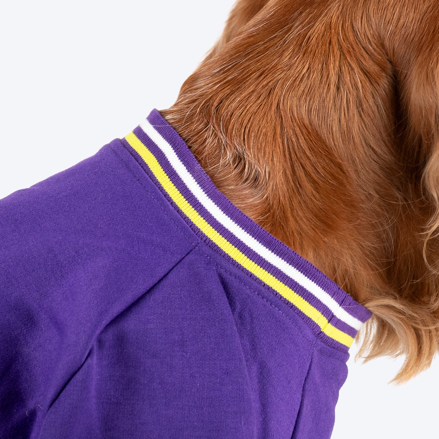 Dash Dog Trailblazer Pocket Sweatshirt For Dog - Purple - Heads Up For Tails