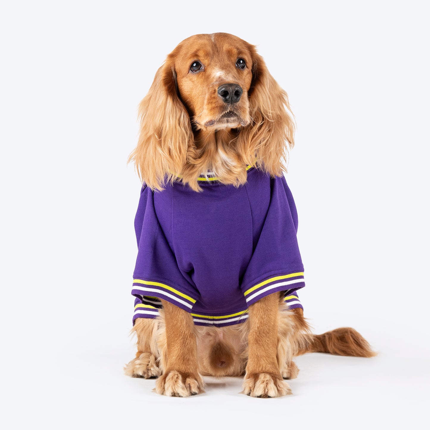 Dash Dog Trailblazer Pocket Sweatshirt For Dog - Purple - Heads Up For Tails