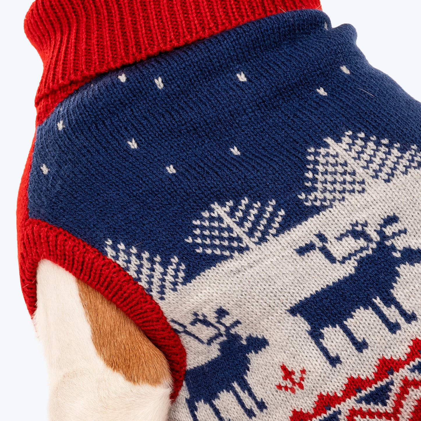 HUFT Winter Miracle Sweater For Dogs - Red & Blue - Heads Up For Tails