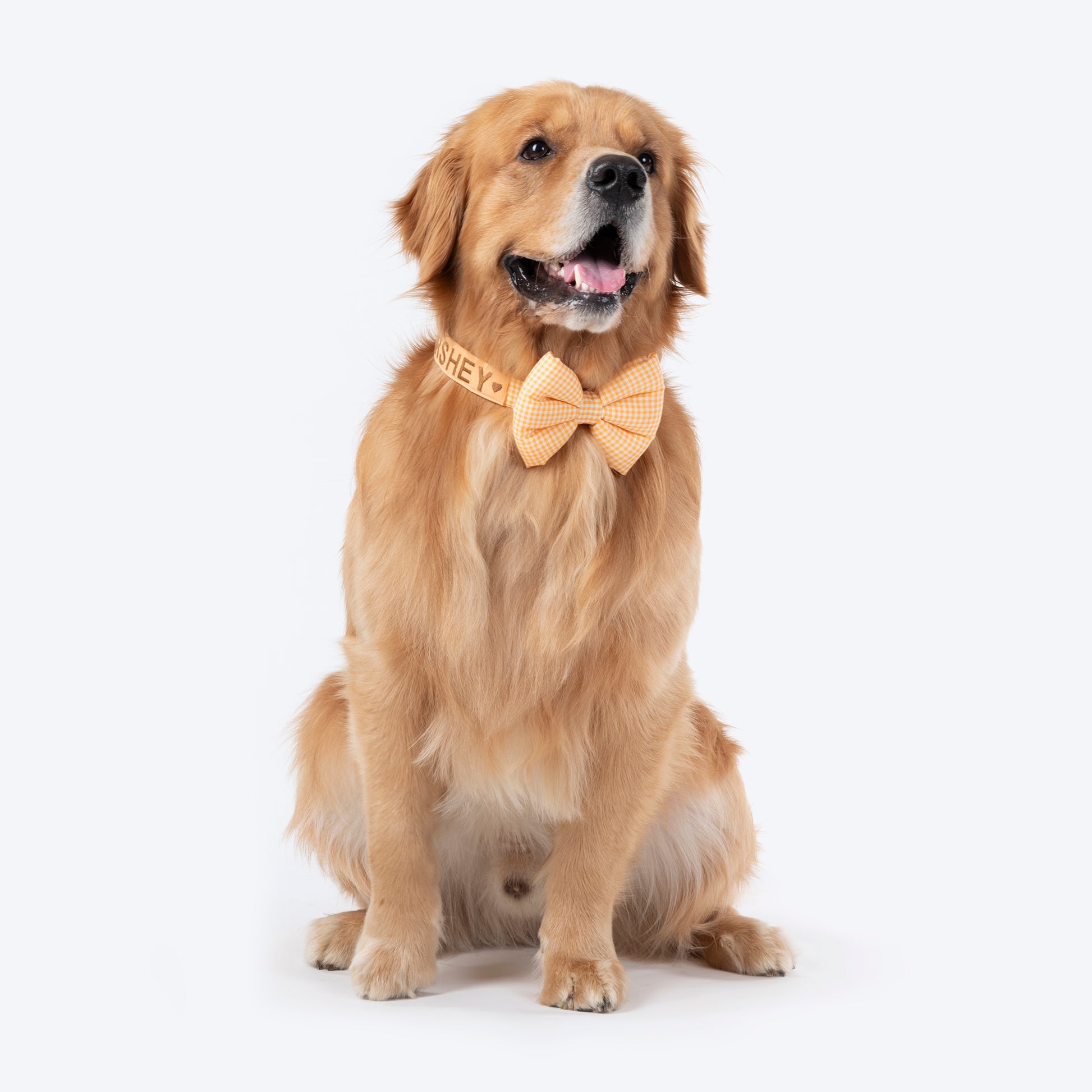 HUFT Personalised Gingham Fabric Collar With Bow Tie For Dogs - Yellow - Heads Up For Tails