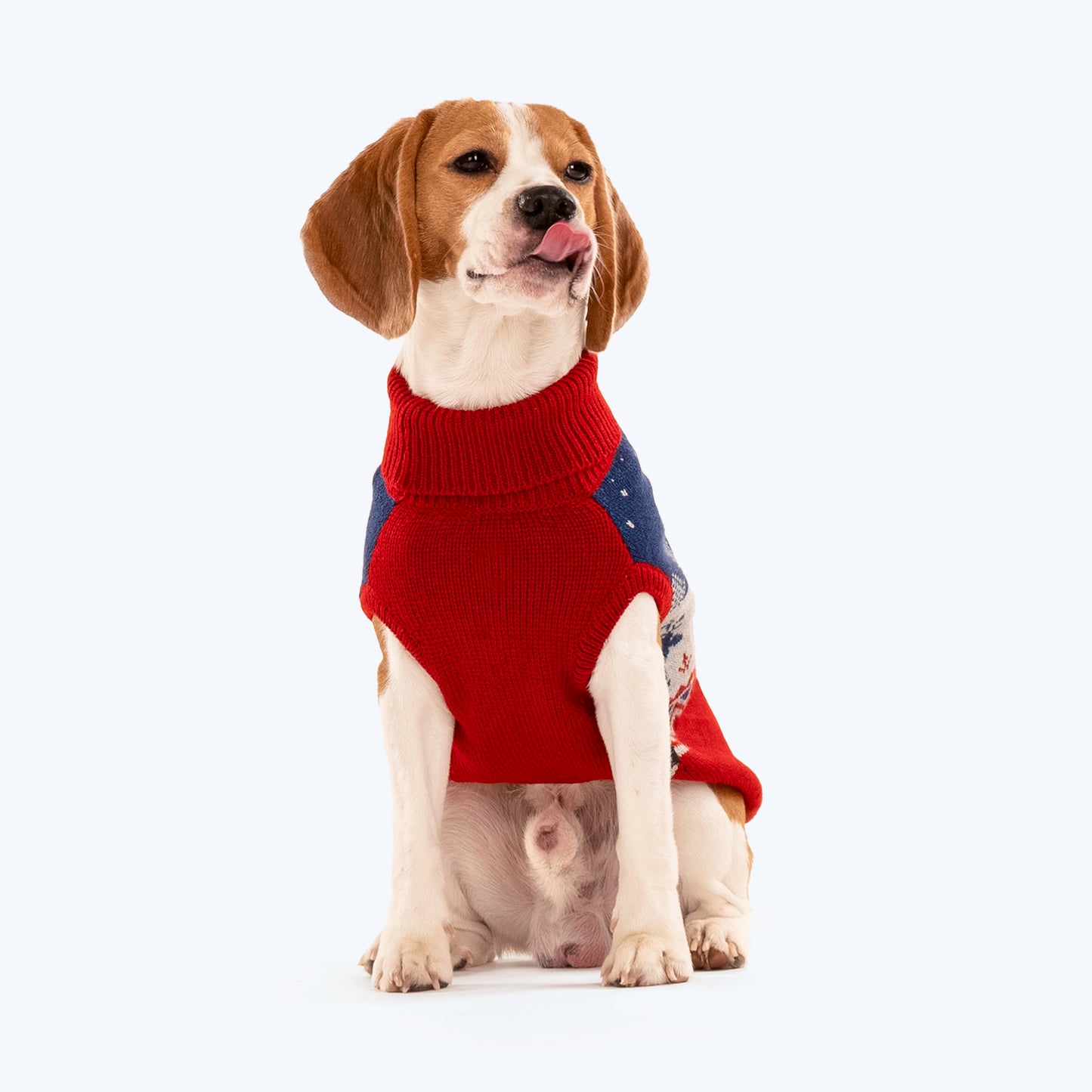 HUFT Winter Miracle Sweater For Dogs - Red & Blue - Heads Up For Tails