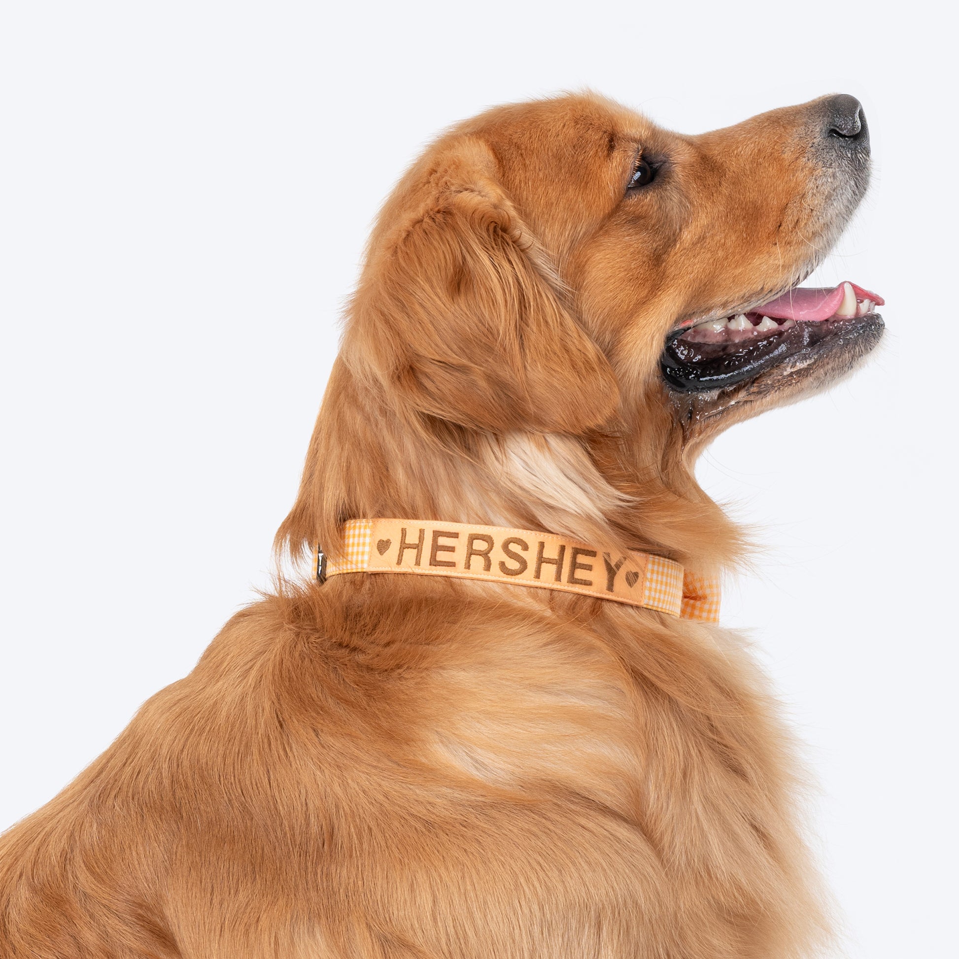 HUFT Personalised Gingham Fabric Collar With Bow Tie For Dogs - Yellow - Heads Up For Tails