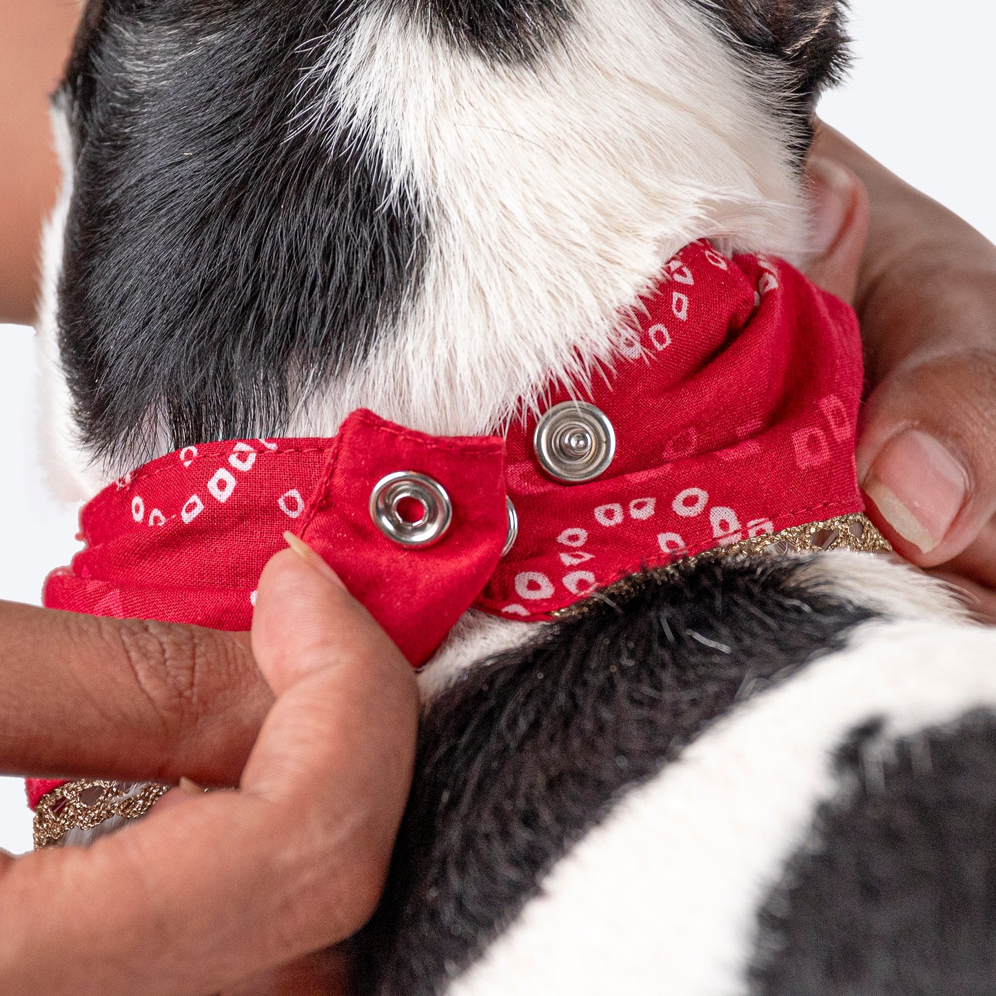HUFT Bandhani Breeze Scarf For Dog & Cat - Red - Heads Up For Tails
