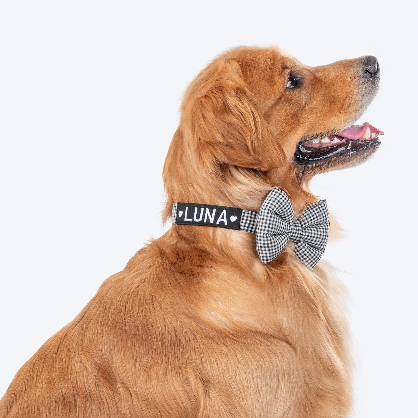 HUFT Personalised Gingham Fabric Collar With Bow Tie For Dogs - Black - Heads Up For Tails
