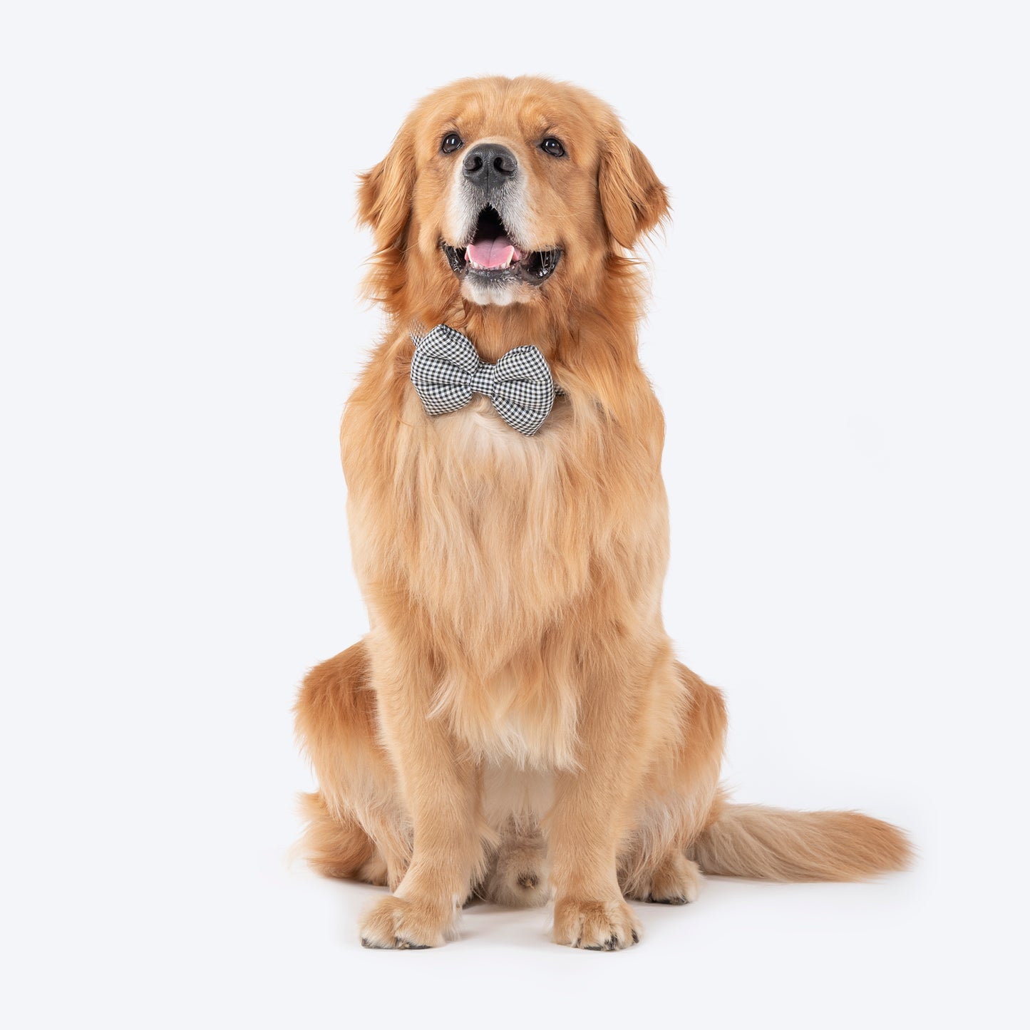 HUFT Personalised Gingham Fabric Collar With Bow Tie For Dogs - Black - Heads Up For Tails