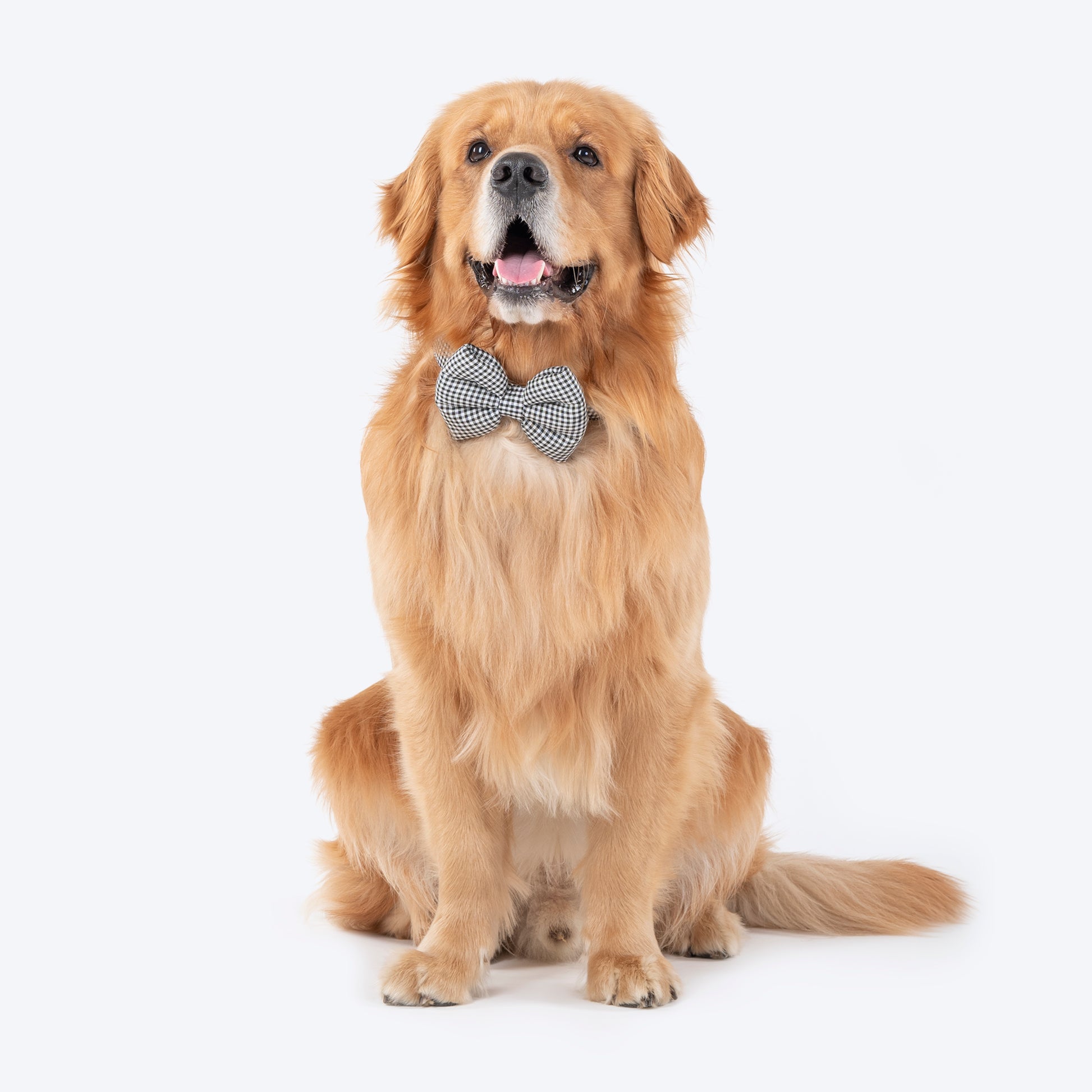 HUFT Personalised Gingham Fabric Collar With Bow Tie For Dogs - Black - Heads Up For Tails