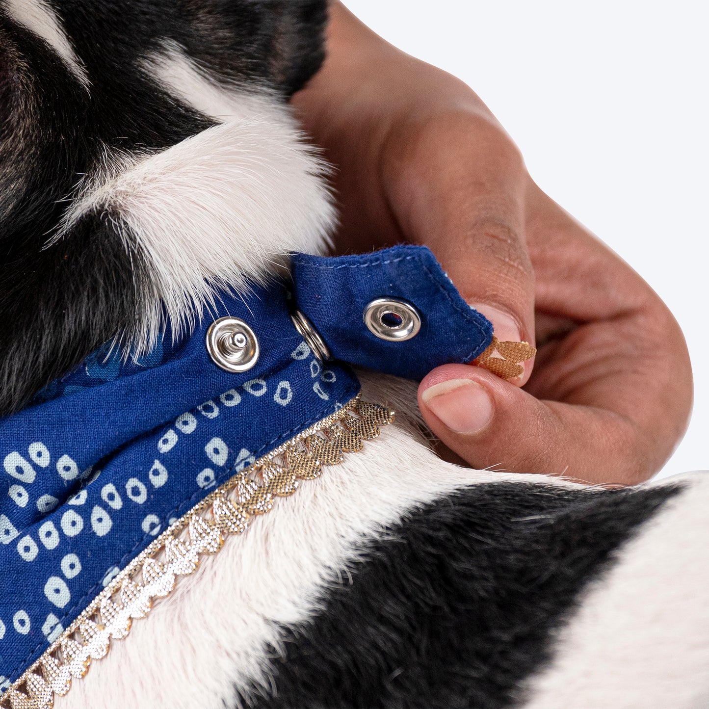 HUFT Bandhani Breeze Scarf For Dog & Cat - Blue - Heads Up For Tails