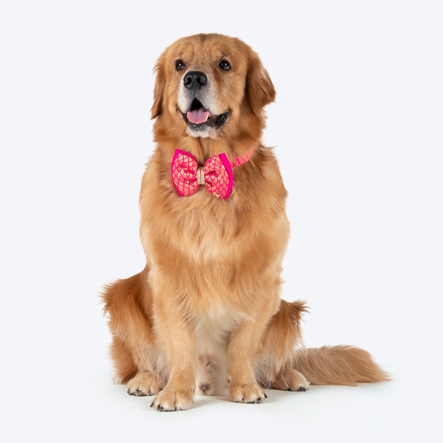 HUFT Royal Rang Bow Tie With Strap For Dog - Pink - Heads Up For Tails